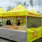 Little Slugger Kitchen With Lemon Deluxe